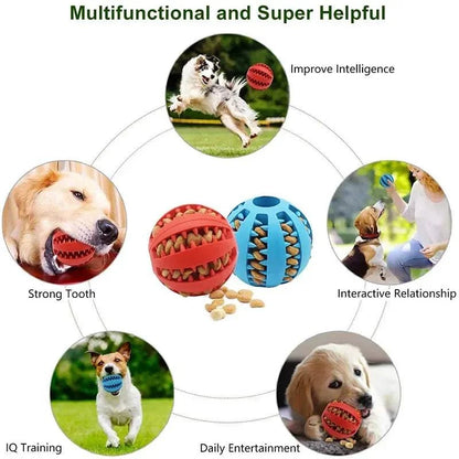 Silicone Pet Dog Toy Ball Interactive Bite-resistant Chew Toy