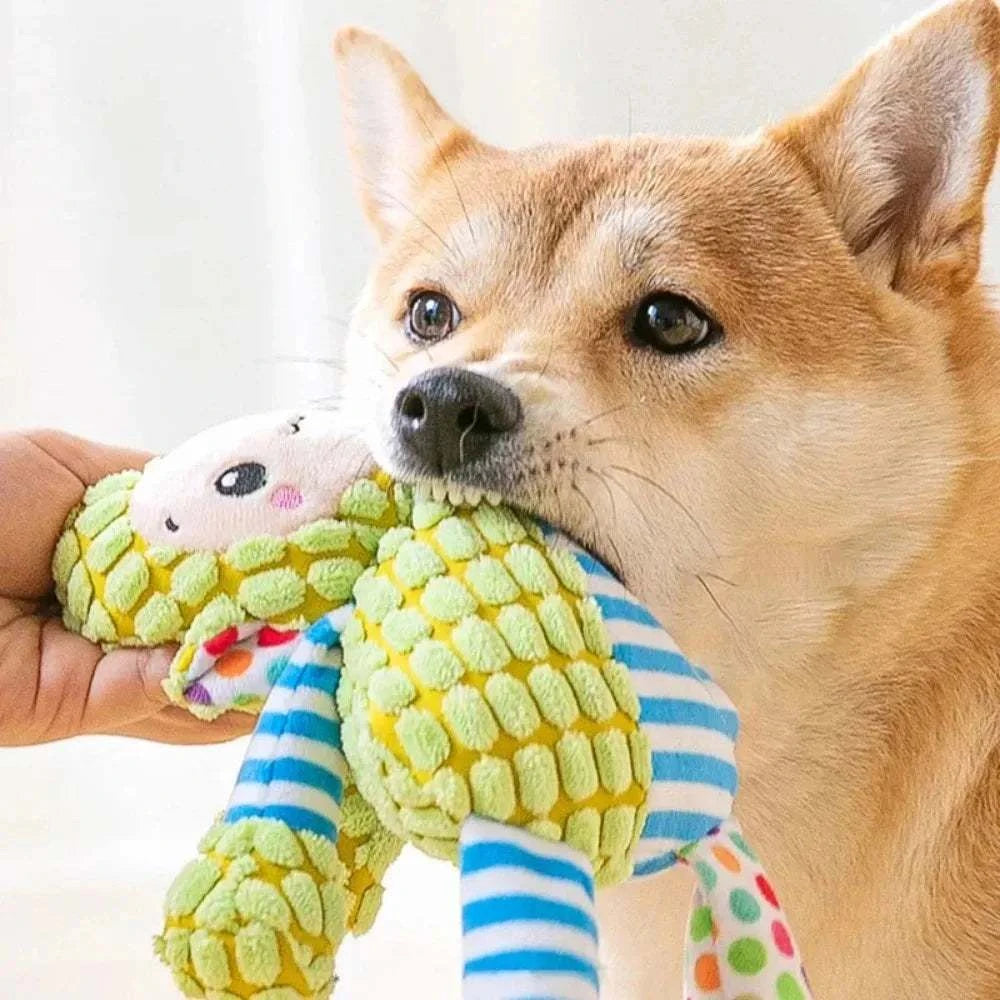 Cute pet plush toy with a dog, interactive and bite-resistant.