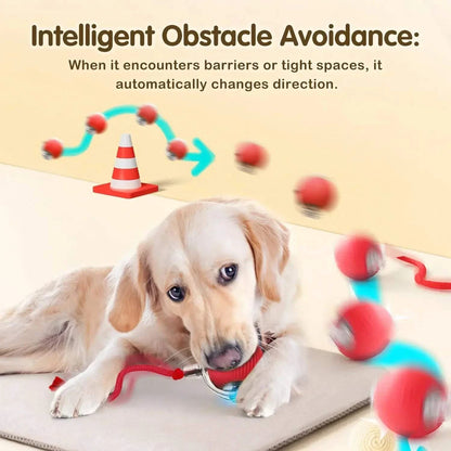 Cat Interactive Ball Toy, Smart Pet Toy with Tail, Rechargeable