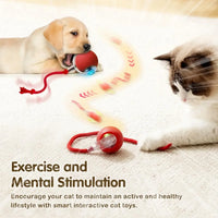 Cat playing with interactive ball toy featuring automatic rolling and tail.
