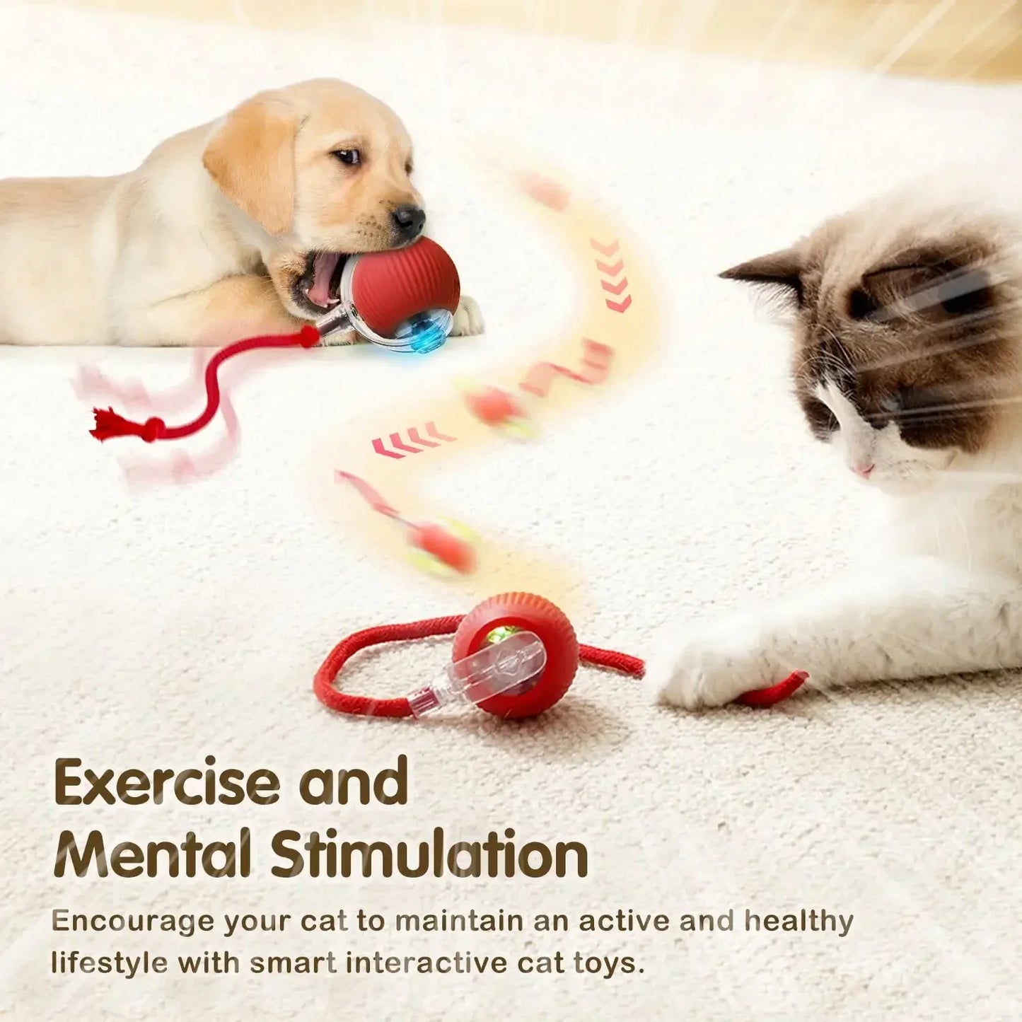 Cat playing with interactive ball toy featuring automatic rolling and tail.
