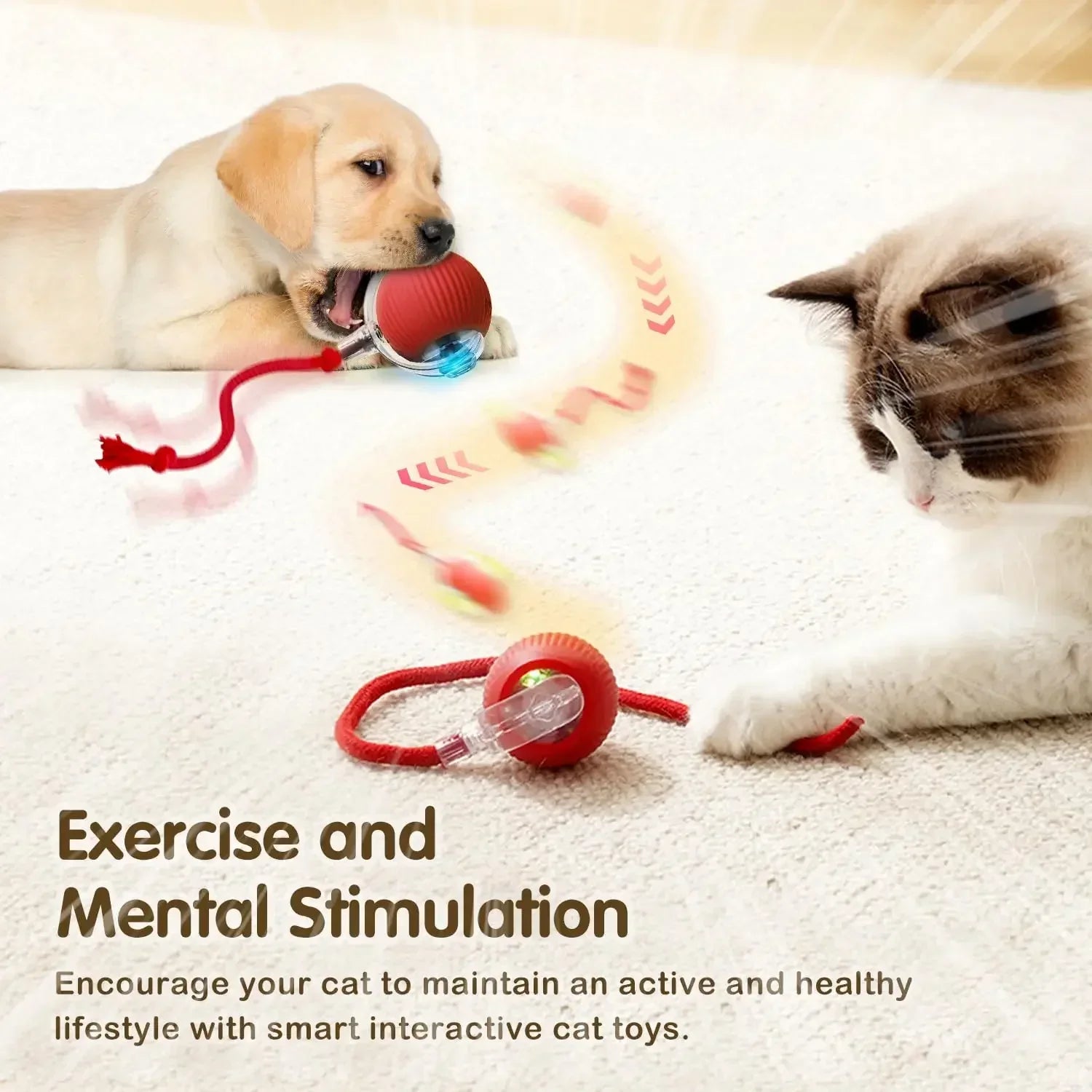 Cat playing with interactive ball toy featuring automatic rolling and tail.