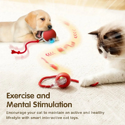 Cat playing with interactive ball toy featuring automatic rolling and tail.