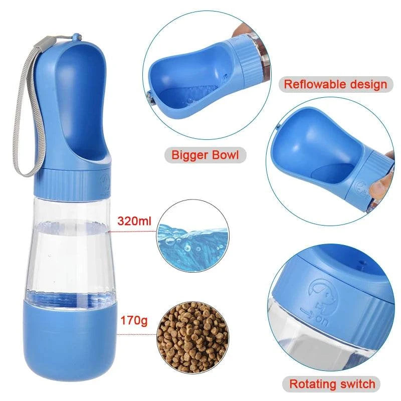 Transform Adventures: Keep Your Pet Happy  Hydrated!