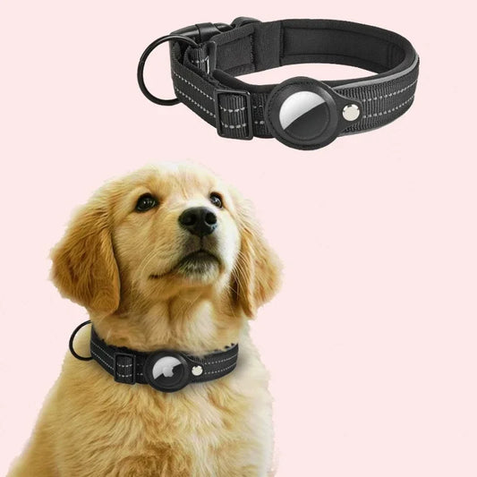 Reflective AirTag dog collar with built-in AirTag holder, shown on a golden retriever, ideal for safe tracking and night visibility.